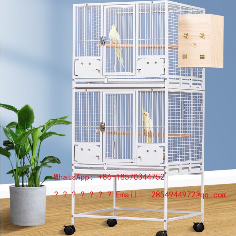 Bird Cage Parrot - 2026 Klatka dla gołębi Duża klatka