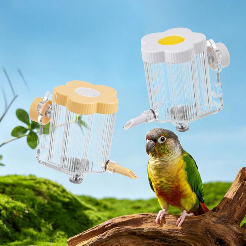 Automatyczny dozownik wody dla – Bird Cage Parrot recenzja i cena