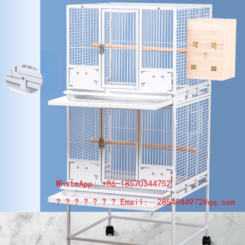 2026 Klatka dla gołębi Duża kl – Bird Cage Parrot recenzja i cena
