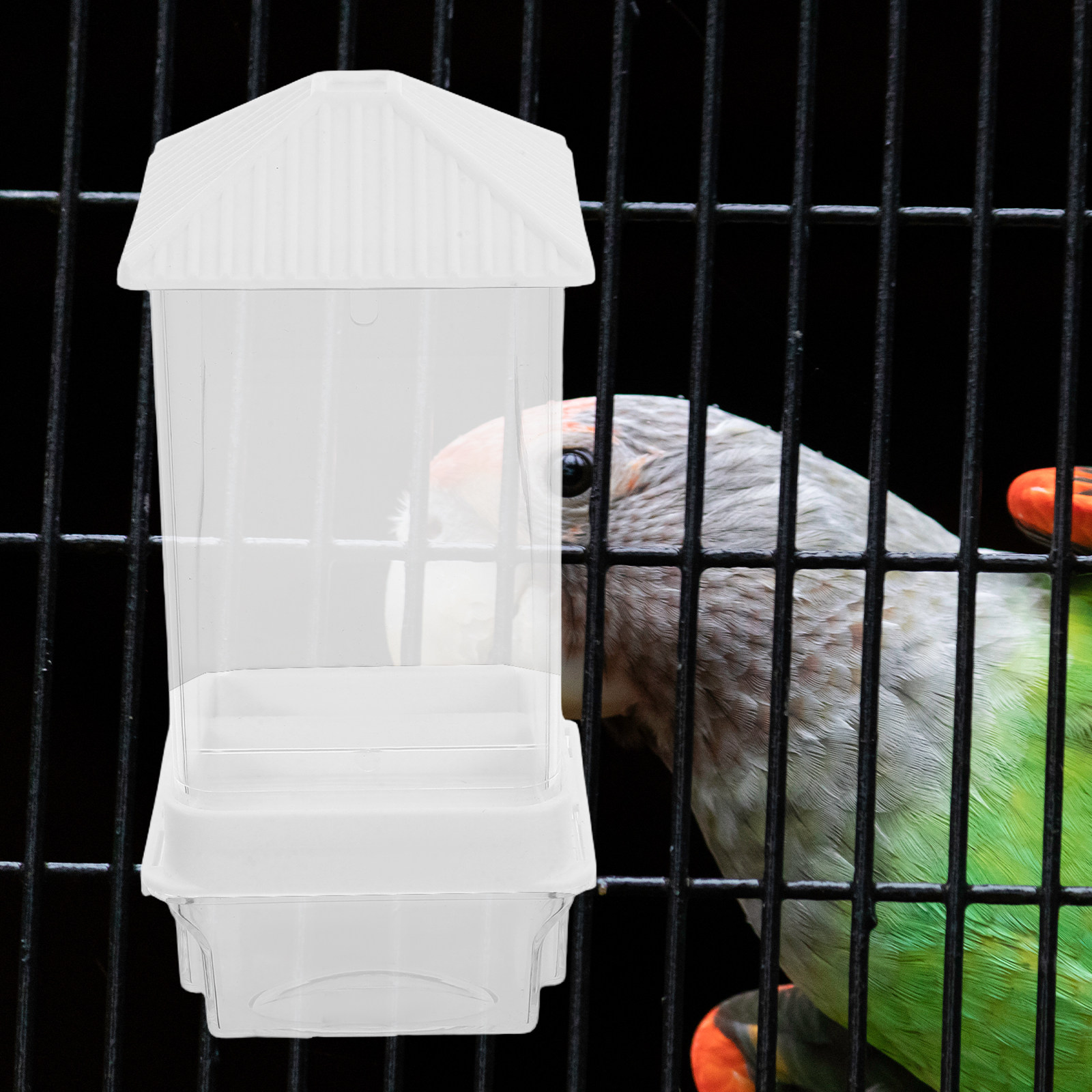 Automatyczny karmnik dla ptakó – Bird Cage Parrot recenzja i cena