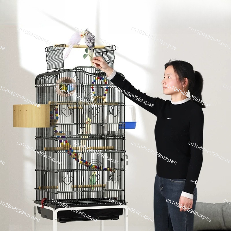 Klatka dla ptaków, karmnik, gn – Bird Cage Parrot recenzja i cena