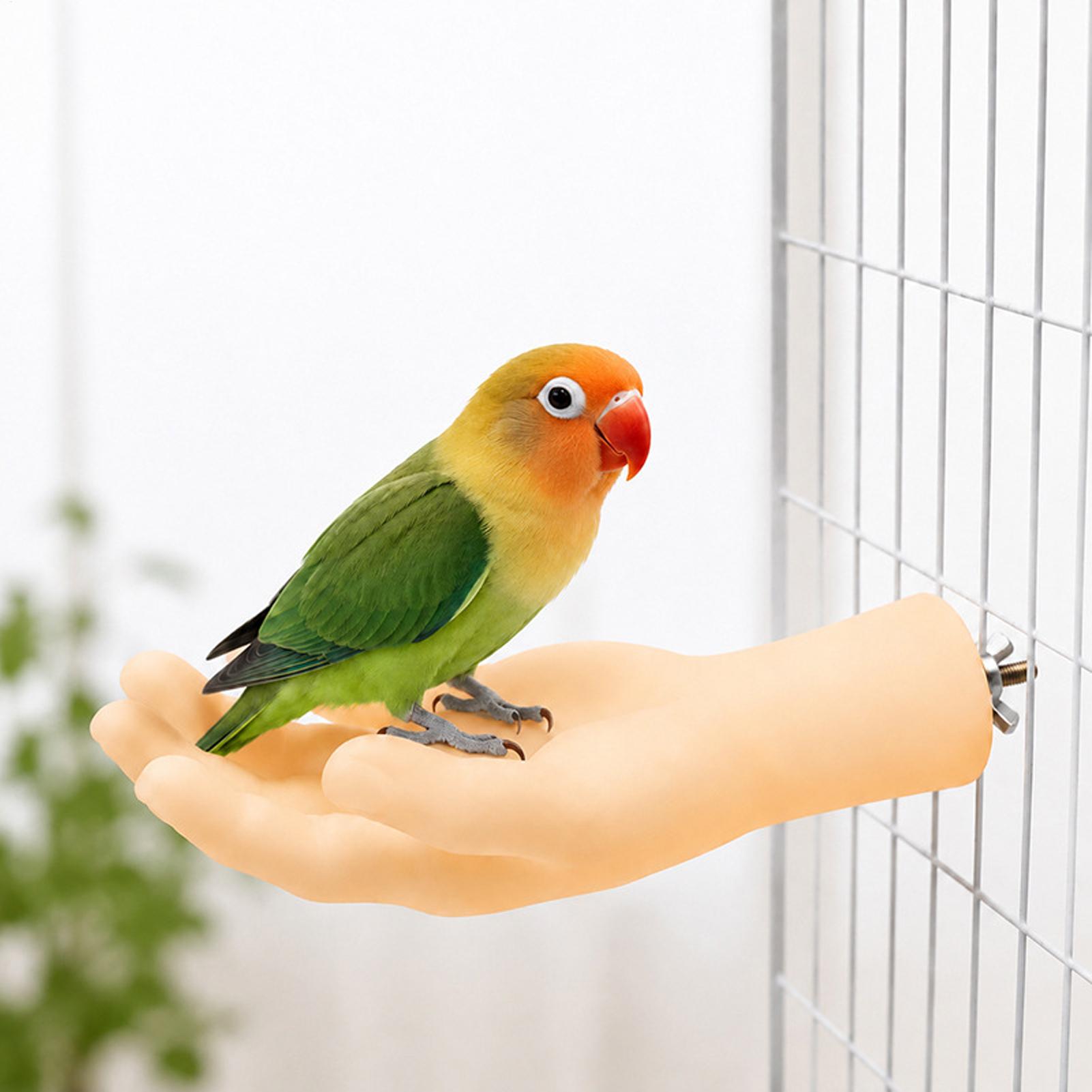 Realistyczna, zabawna, antypoś – Bird Cage Parrot recenzja i cena