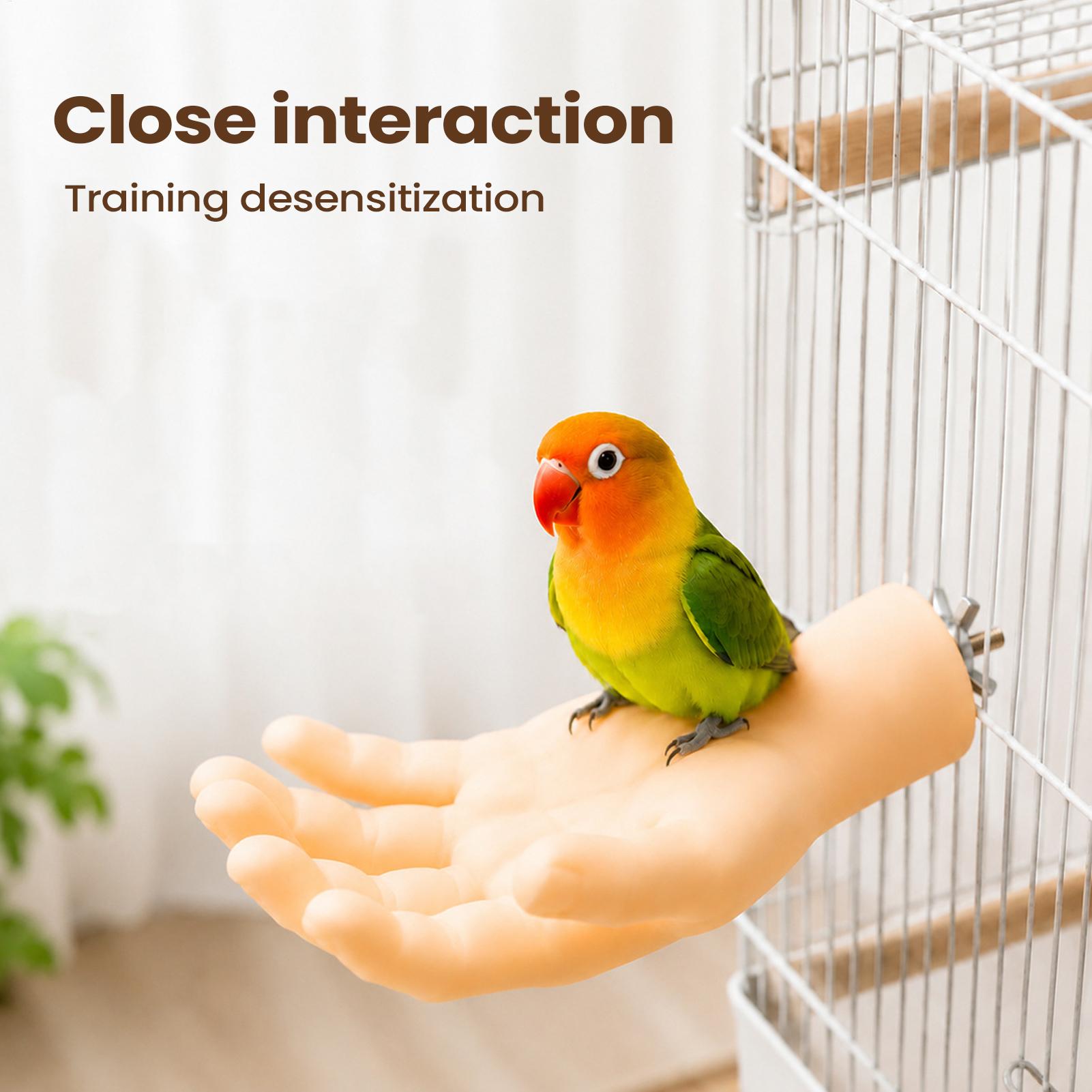 Realistyczna, zabawna, antypoś – Bird Cage Parrot recenzja i cena