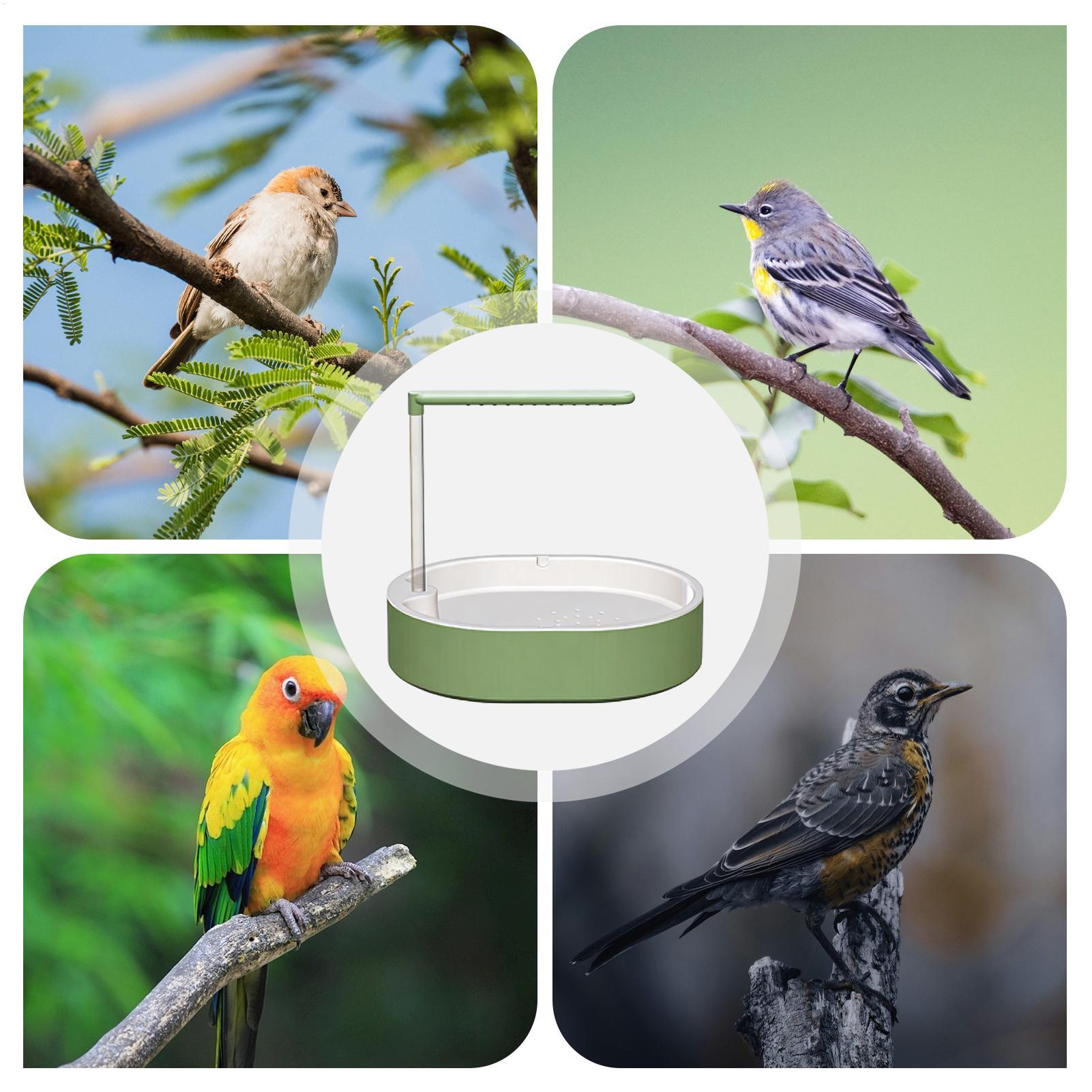 Fontanna do kąpieli dla papug, – Bird Cage Parrot recenzja i cena