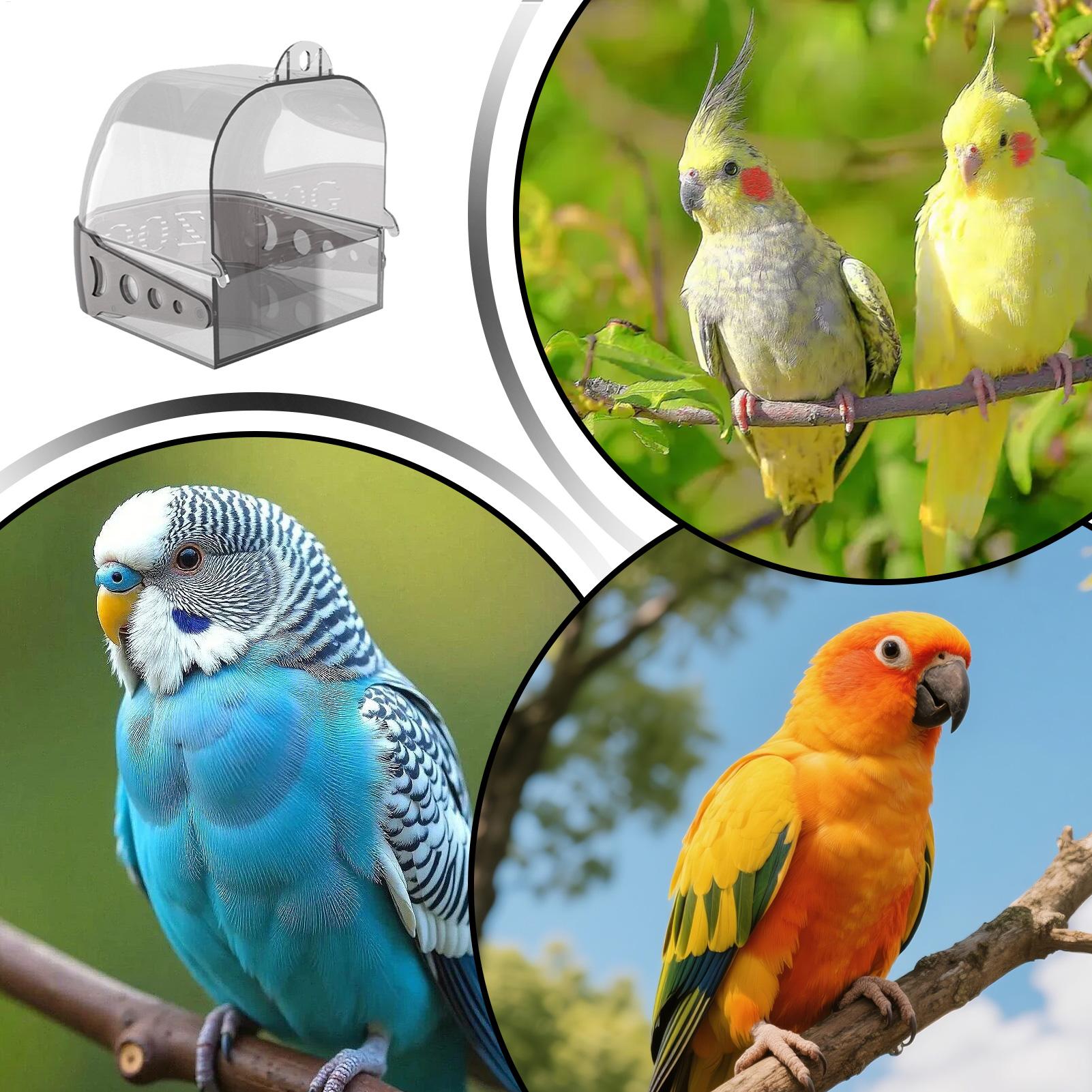 Kąpieliska dla ptaków do klatk – Bird Cage Parrot recenzja i cena